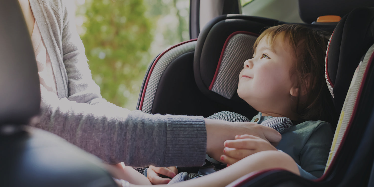 Potty Training Car Seat Protectors